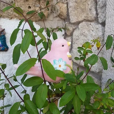 Hotel Mavi Ruezgar Alacati (adults Only)